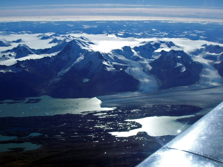 Alpine and Arctic Ecosystems